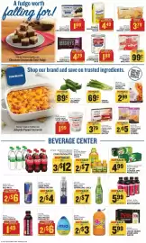Food Lion weekly ad week 7 Page 10