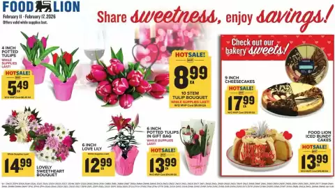 Food Lion weekly ad week 7 Page 13