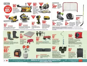 Canadian Tire flyer week 7 Page 17