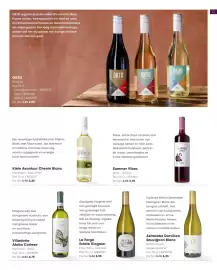 HANOS folder Pagina 13