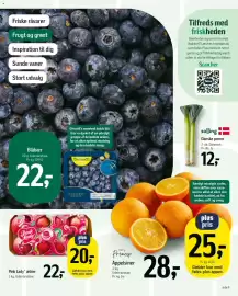 Føtex tilbudsavis Side 13