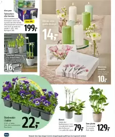 Føtex tilbudsavis Side 50