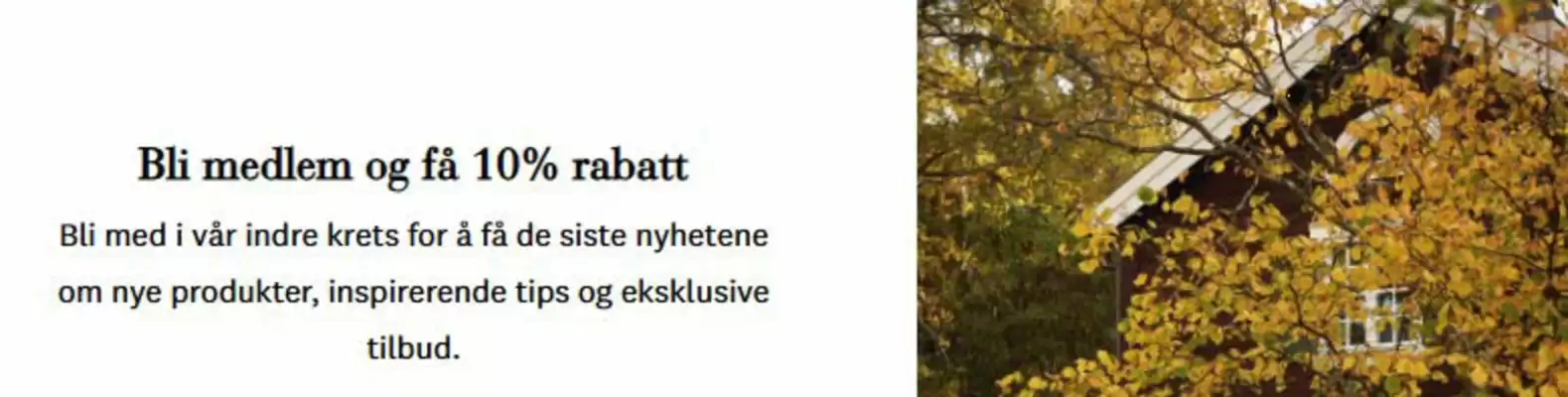 Lexington kundeavis (gyldig til 22-02)