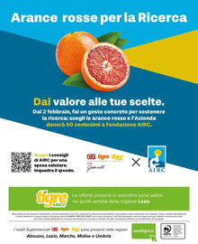 Volantino Tigre Amico Pagina 12