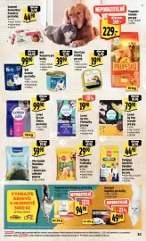Albert leták týden 7 Strana 41
