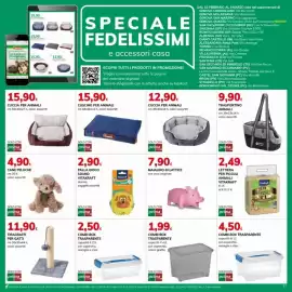 Volantino Basko Pagina 31