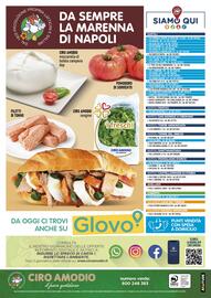 Volantino Ciro Amodio Pagina 12