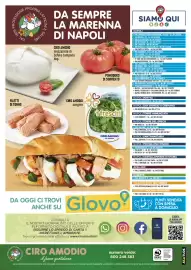 Volantino Ciro Amodio Pagina 12