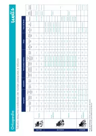 Folheto Well's Página 163