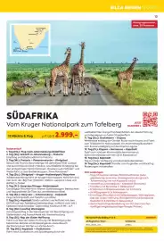 Billa Reisen Flugblatt Seite 13