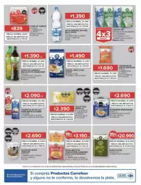 Catálogo Carrefour Página 13
