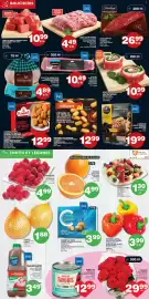 Marches Tradition flyer week 7 Page 4