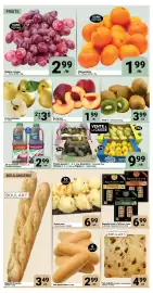 Pasquier flyer week 7 Page 2