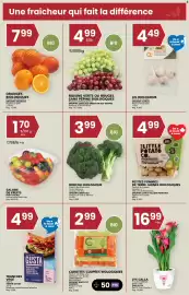 Rachelle-Bery Grocery flyer week 7 Page 3