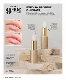 Catálogo Cristian Lay Página 12