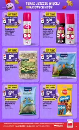 Polomarket gazetka tydzień 7 Strona 13