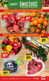 Polomarket gazetka tydzień 7 Strona 13