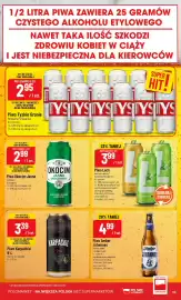 Polomarket gazetka tydzień 7 Strona 39