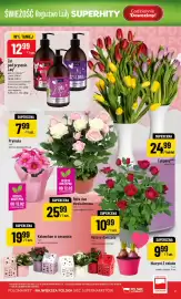 Polomarket gazetka tydzień 7 Strona 7