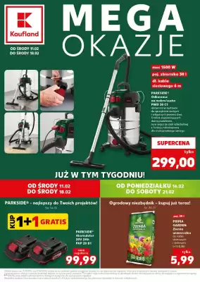 Kaufland gazetka (ważność do 18-02)