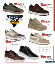 Catálogo Cklass Página 226