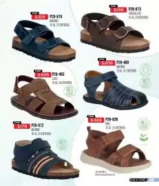 Catálogo Cklass Página 264