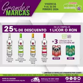 Folleto Bodegas Alianza Página 10