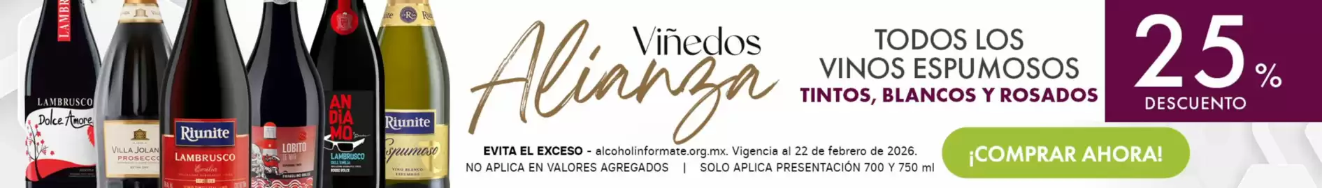 Folleto Bodegas Alianza Página 1