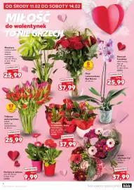 Kaufland gazetka tydzień 7 Strona 6