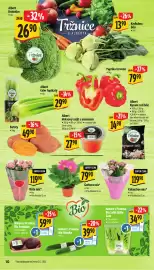 Albert leták týden 7 Strana 16