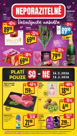 Albert leták týden 7 Strana 45