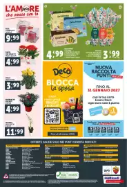 Volantino Deco Supermercati Pagina 22