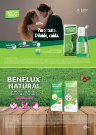 Folheto Well's Página 16