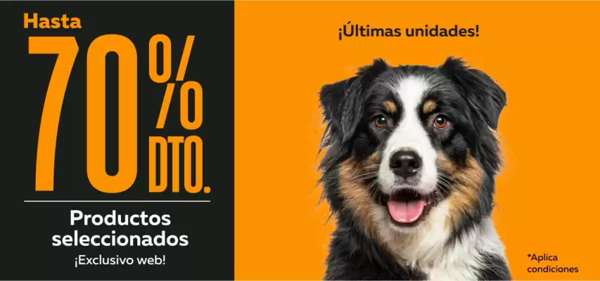 Catálogo Superpet (válido hasta 28-02)