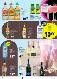 CITTI Markt Prospekt woche 7 Seite 17