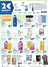 CITTI Markt Prospekt woche 7 Seite 21