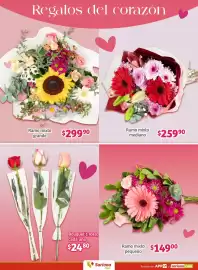 Folleto Soriana Híper Página 4