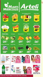 Folleto Arteli Página 2