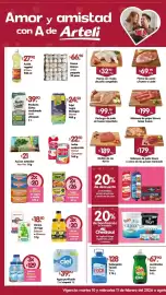 Folleto Arteli Página 1