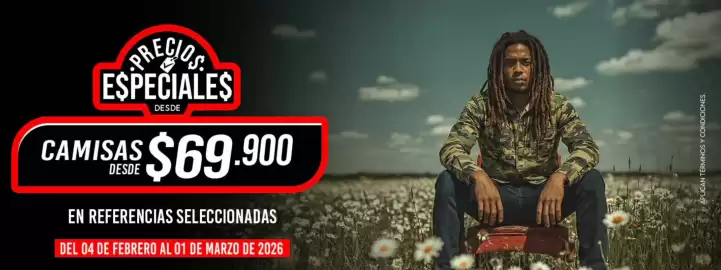 Catálogo Roott + Co Página 3