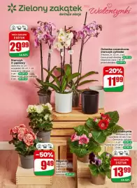 Dino gazetka tydzień 7 Strona 17