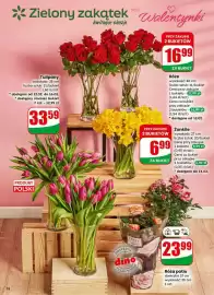 Dino gazetka tydzień 7 Strona 18