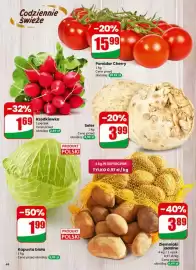 Dino gazetka tydzień 7 Strona 44