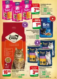 Dino gazetka tydzień 7 Strona 69