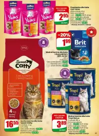 Dino gazetka tydzień 7 Strona 69