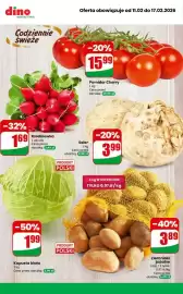 Dino gazetka tydzień 7 Strona 9