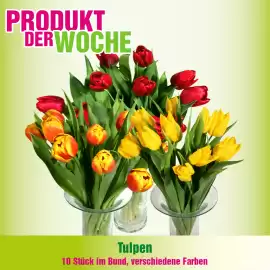 Blumen B&B Flugblatt woche 7 Seite 1