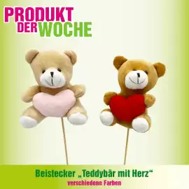 Blumen B&B Flugblatt woche 7 Seite 7