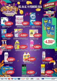 Catálogo Supermercados Mayor Página 5