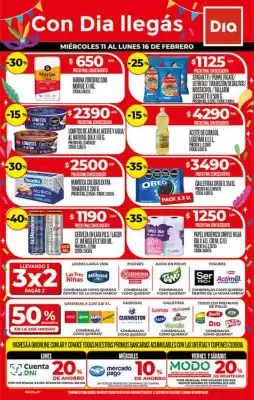 Folleto Supermercados DIA (válido hasta 16-02)